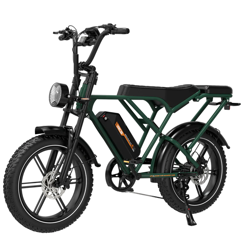 Vélo électrique RCB G19 pour adultes 750 W 48 V
