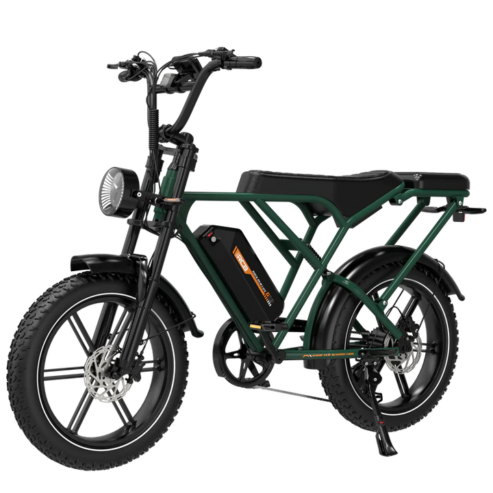 RCB G19 Electric Bike for Adults 750W 48V