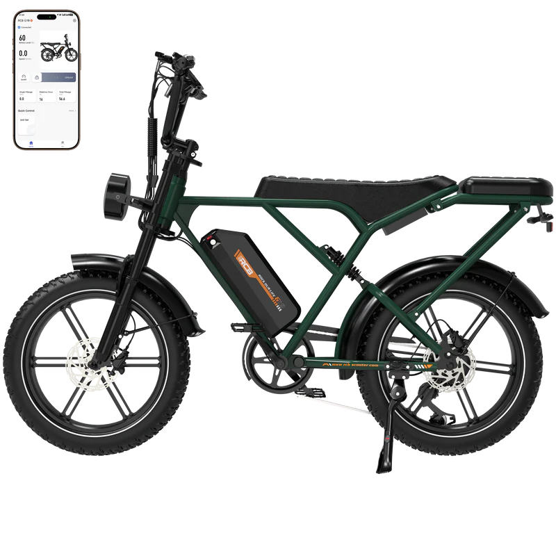 Vélo électrique RCB G19 pour adultes 750 W 48 V