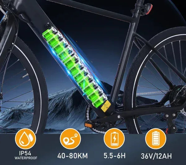 Hitway BK19 350W Electric Bike